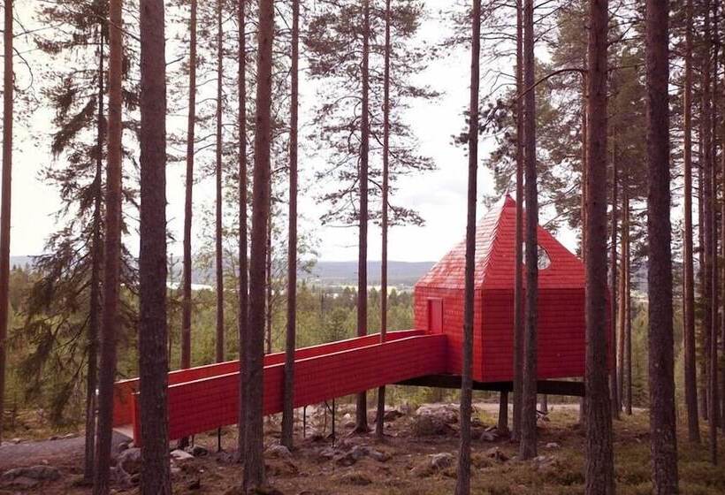 חדר סטנדרט, Treehotel