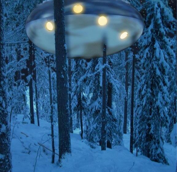 スタンダードルーム, Treehotel