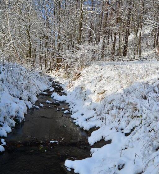 스탠다드 트리플 룸, Penzion Staré Purkartice