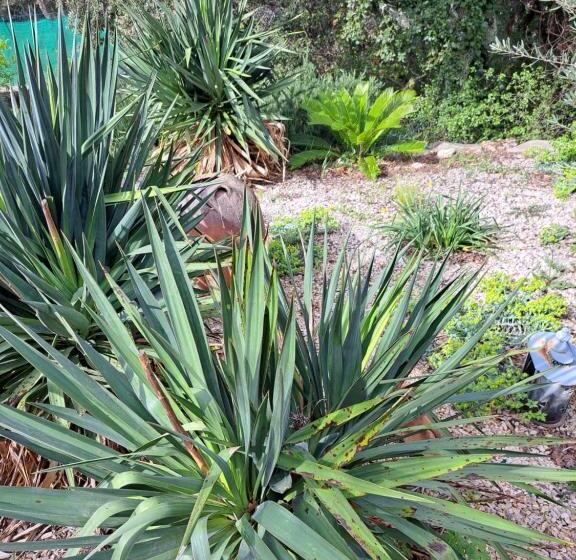 패밀리 스위트, Le Calme De La Garrigue