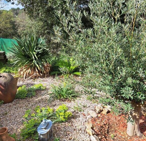 Family Suite, Le Calme De La Garrigue