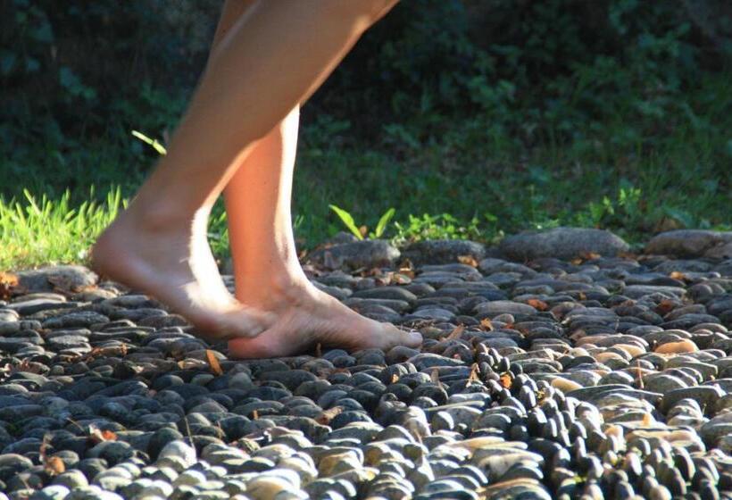 ガーデンビュースタンダードルーム, Chambre D Hotes La Source Aveyron