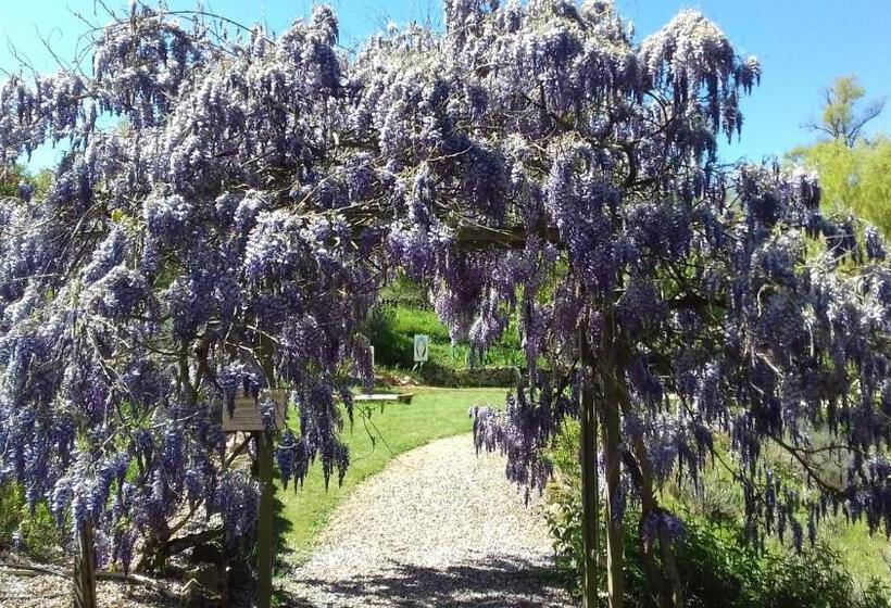 ガーデンビュースタンダードルーム, Chambre D Hotes La Source Aveyron