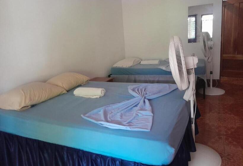 غرفة قياسية ثلاثية, Hostal Bullshark