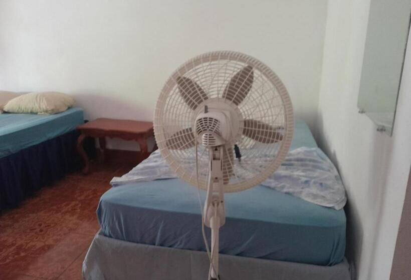 غرفة إقتصادية ثلاثية, Hostal Bullshark