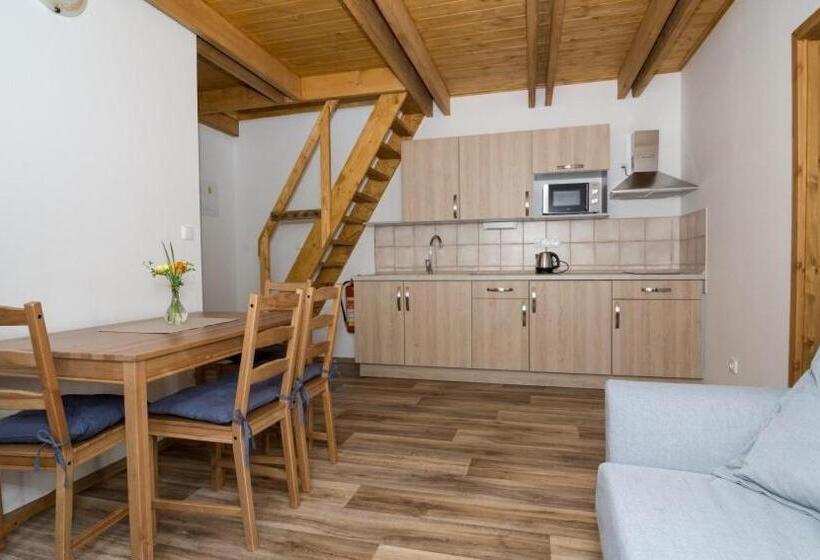 Апартаменты Дюплекс 1 Спальня, Penzion Konvalinka