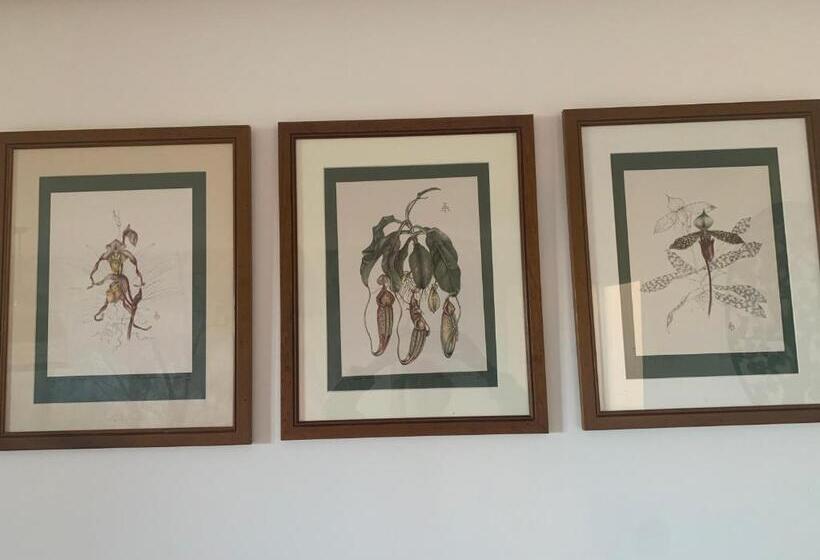 غرفة قياسية, Maison Mard Or Chambre Forêt