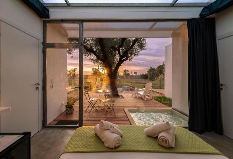 스탠다드 자쿠지 룸, Terecate Experimental Relais