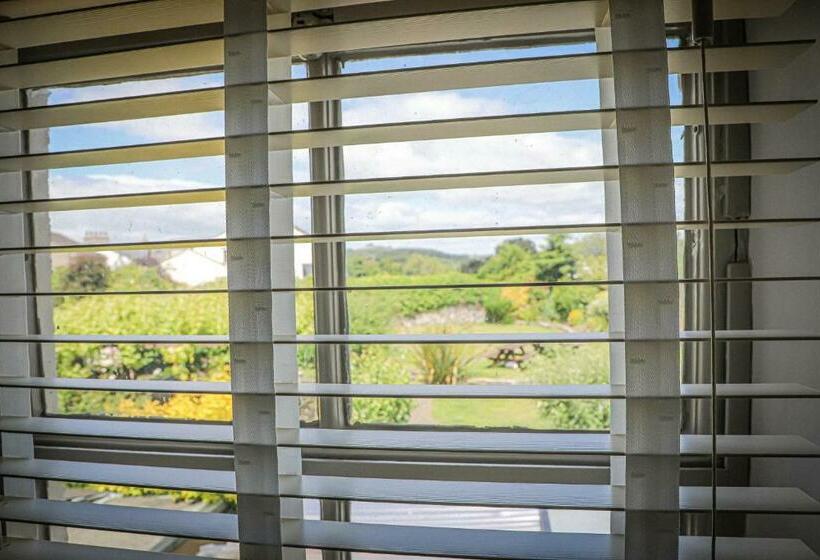 חדר סטנדרט, Hope And Anchor