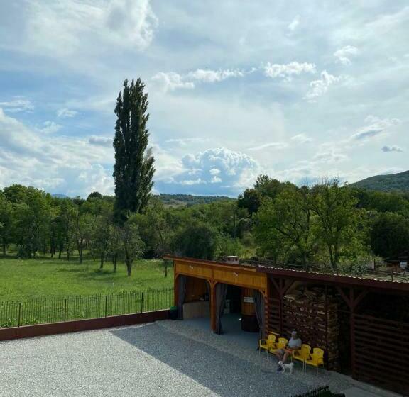 Номер Стандарт Трехместный, Pensiunea La Doinel