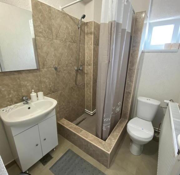 Номер Стандарт Трехместный, Pensiunea La Doinel