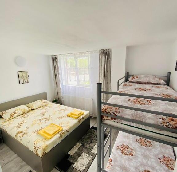 Четырехместный Номер Классик, Pensiunea La Doinel