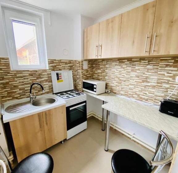 Апартаменты 2 Спальни, Pensiunea La Doinel