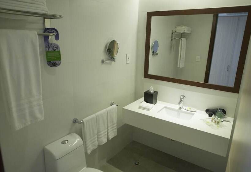 ２ダブルベッドのスタンダードルーム, Holiday Inn Cúcuta, An Ihg