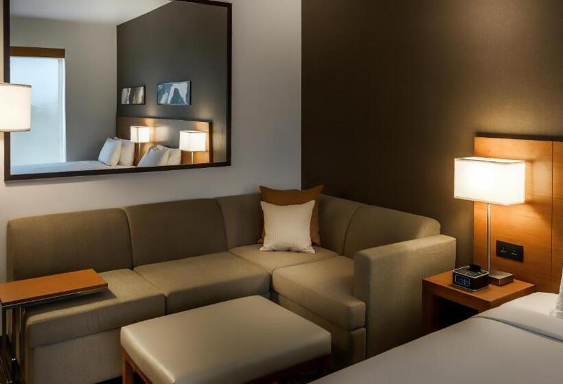 اتاق استاندارد, Hyatt Place Gurgaon Udyog Vihar