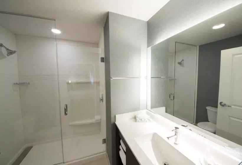 Standard-studio King-vuode, Residence Inn By Marriott Harlingen