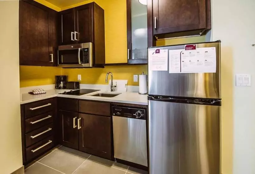 Standard-studio King-vuode, Residence Inn By Marriott Harlingen