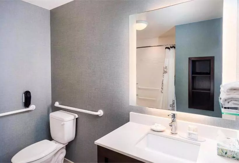 Sviitti King-vuode, Residence Inn By Marriott Decatur Forsyth