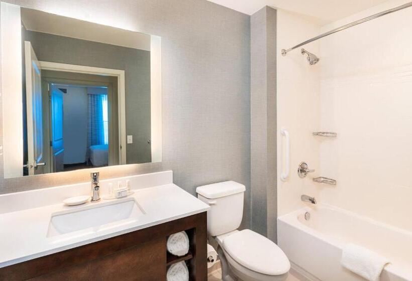 带大床的套房, Residence Inn By Marriott Decatur Forsyth