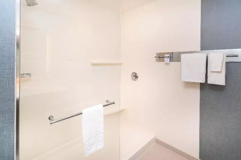 Standard-studio King-vuode, Residence Inn By Marriott Decatur Forsyth