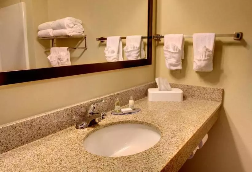キングサイズベッドのスイートルーム, Stanton Inn And Suites