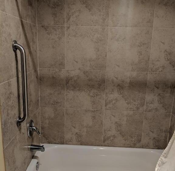 Номер Economy, Executive Inn Woodward
