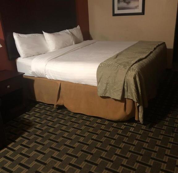 غرفة قياسية فردية, Executive Inn Woodward