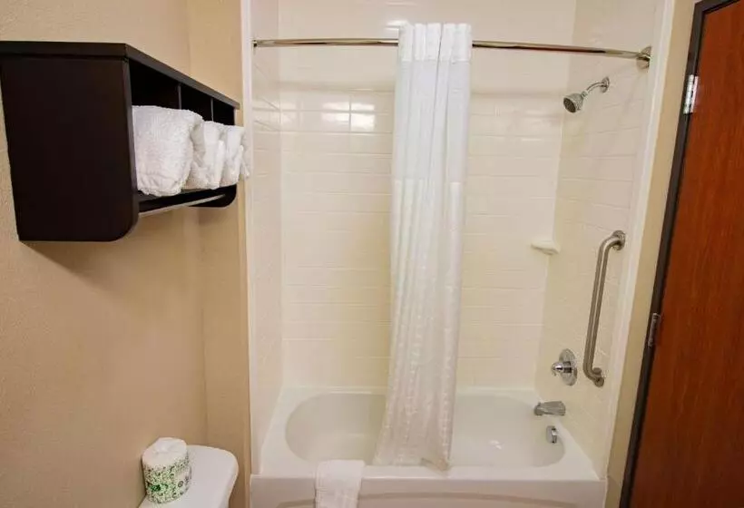 キングサイズベッドのスタンダードルーム, Surestay Plus Hotel By Best Western Owasso Tulsa North