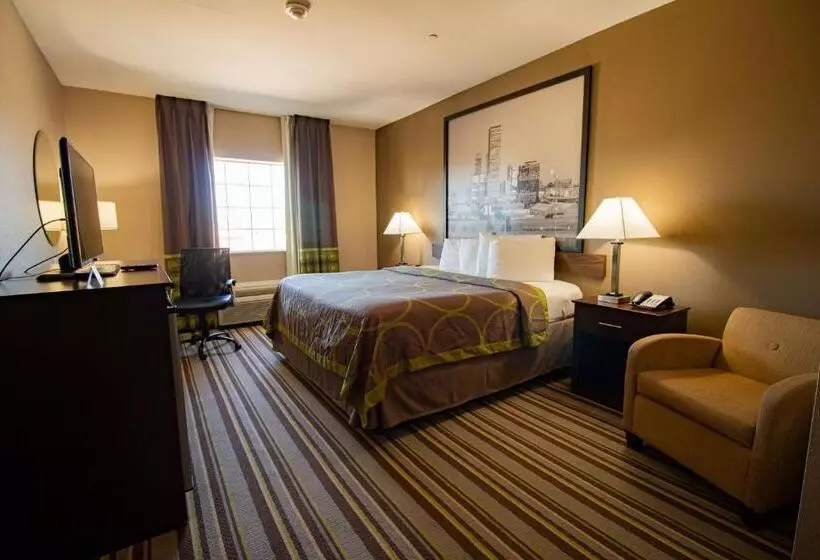 キングサイズベッドのスタンダードルーム, Surestay Plus Hotel By Best Western Owasso Tulsa North