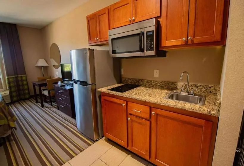 キングサイズベッドのスイートルーム, Surestay Plus Hotel By Best Western Owasso Tulsa North
