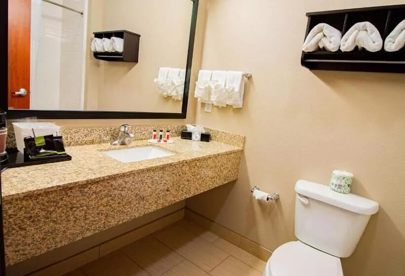 スタンダードルーム, Surestay Plus Hotel By Best Western Owasso Tulsa North