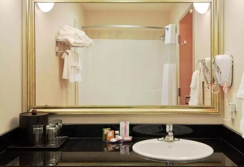 キングサイズベッドのスイートルーム, Canalta Hotel Humboldt