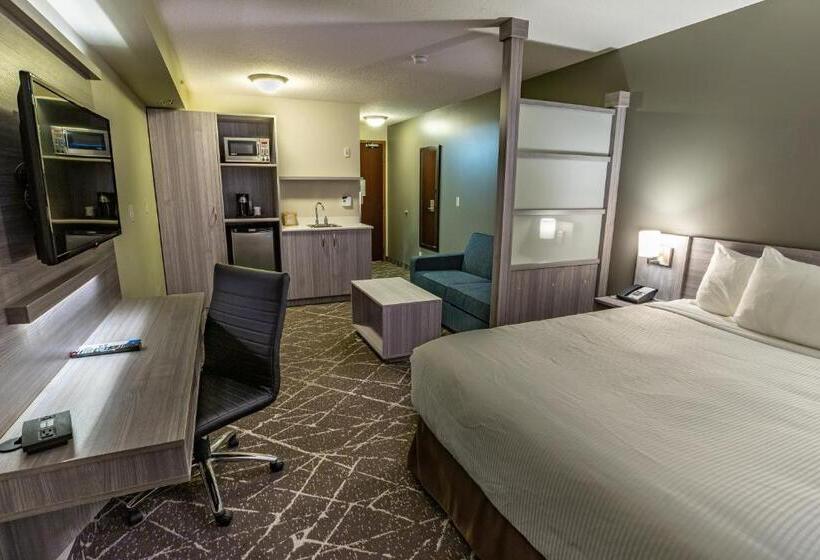 비즈니스룸, Microtel Inn & Suites By Wyndham Lloydminster