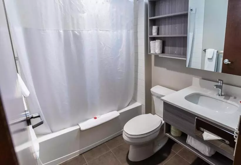デラックスルーム, Microtel Inn & Suites By Wyndham Lloydminster