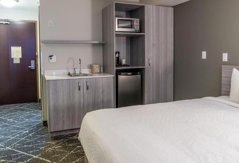 비즈니스룸, Microtel Inn & Suites By Wyndham Lloydminster