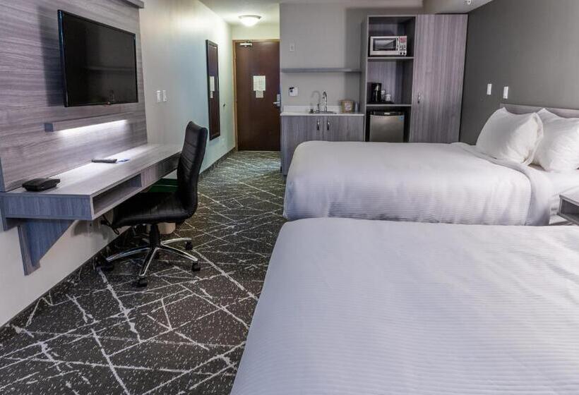 비즈니스룸, Microtel Inn & Suites By Wyndham Lloydminster