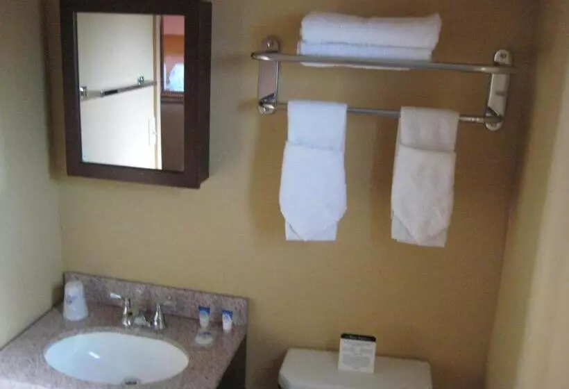 キングサイズベッドのスタンダードルーム, Americas Best Value Inn Porterville