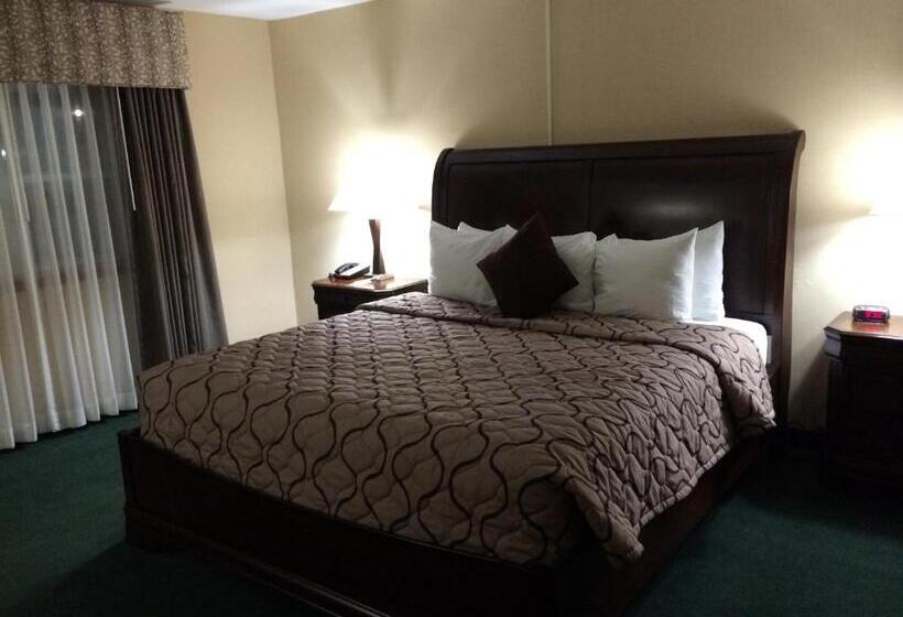 חדר סטנדרט עם מיטת קינג, Pacer Inn & Suites Motel