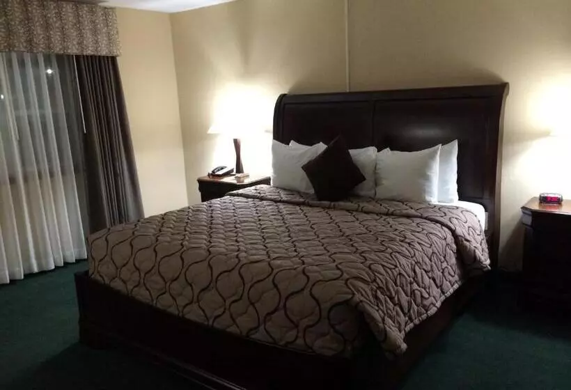 キングサイズベッドのスタンダードルーム, Pacer Inn & Suites Motel