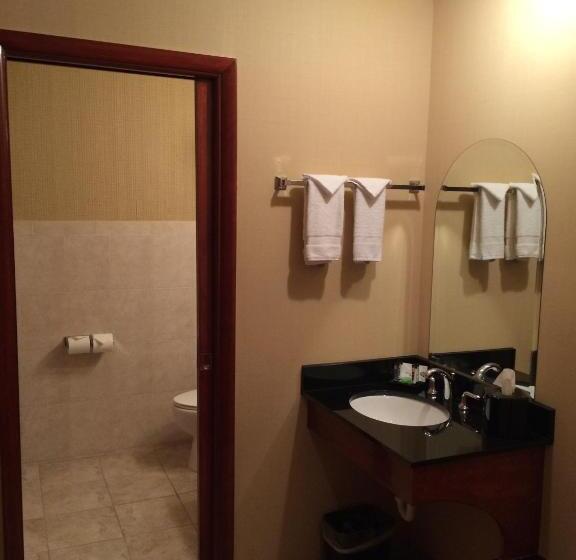 Номер Стандарт, Pacer Inn & Suites Motel