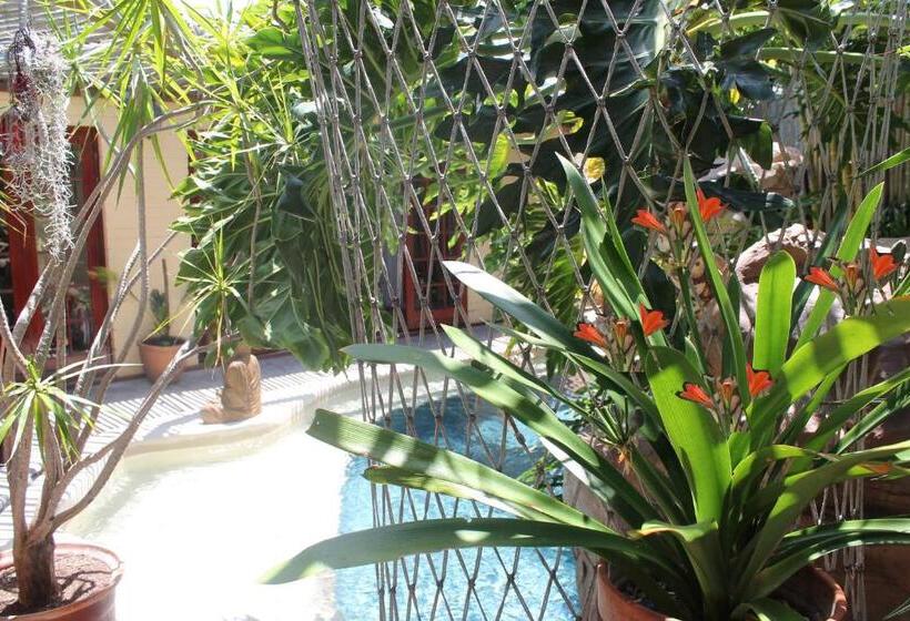 Quarto Deluxe Vista Piscina, Goblin S Mead