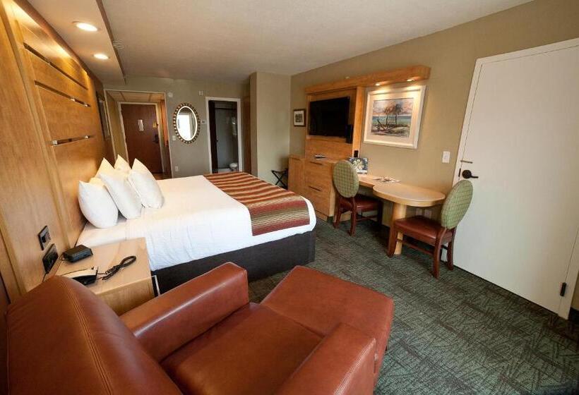 带大床的标准间, Desoto Beach