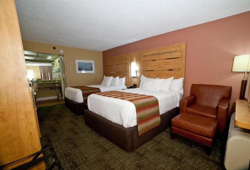 标准间, Desoto Beach