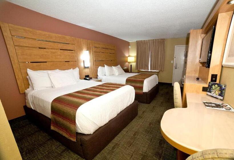 标准间, Desoto Beach