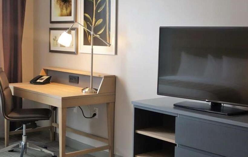 带大床的套房, Country Inn & Suites By Radisson, Springfield Southeast