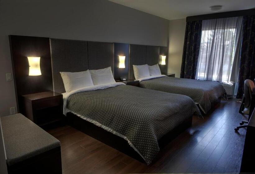 스탠다드 룸, Hôtel De La Boréalie