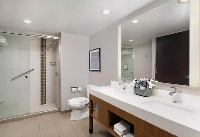 اتاق استاندارد با 2 تخت دوبل, Hyatt Place Bayamon