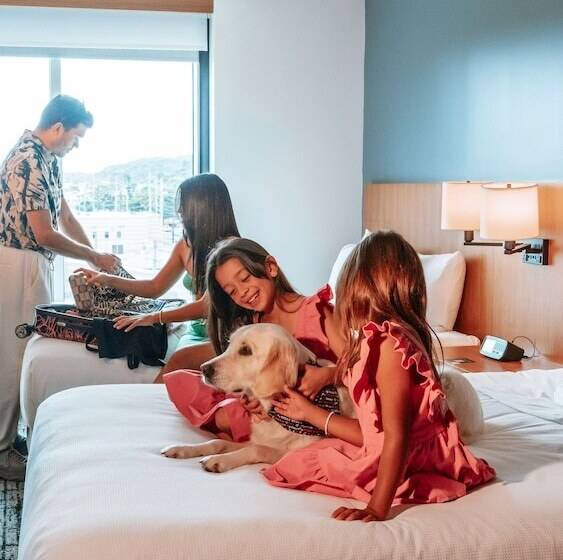 اتاق استاندارد با 2 تخت دوبل, Hyatt Place Bayamon