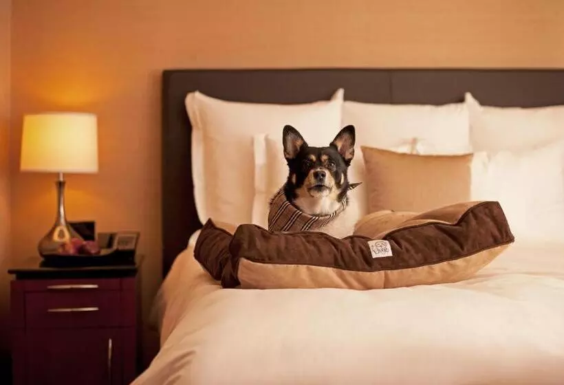 اتاق استاندارد برای معلولان, Hyatt Place Bayamon