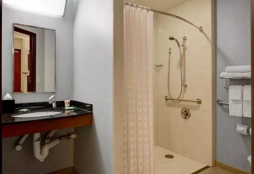 اتاق استاندارد برای معلولان, Hyatt Place Bayamon
